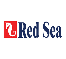 Red Sea